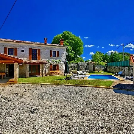 David Tatil Evi Tinjan